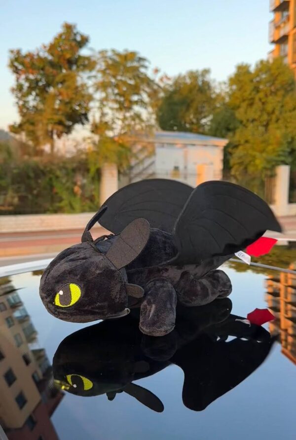 Toothless RearDragon ™